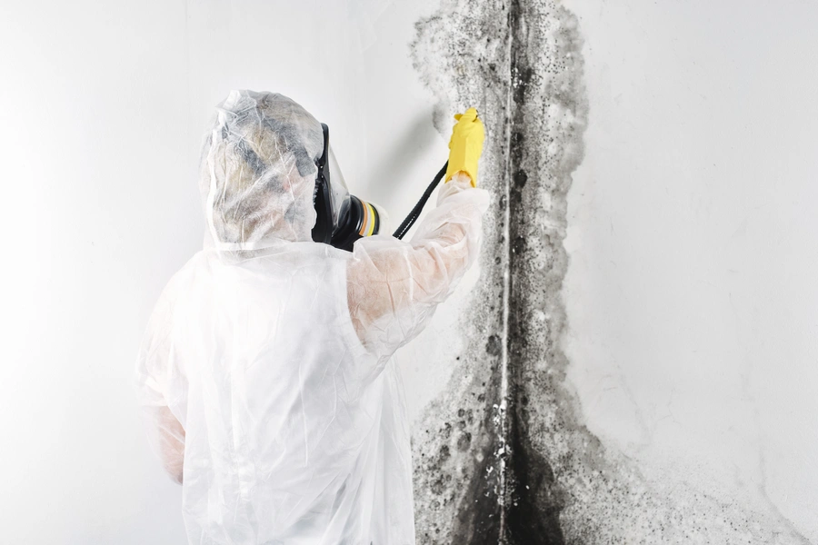 Combining Mold Treatment Solutions With Pressure Washing in Torrance, CA Combining Mold Treatment Solutions With Pressure Washing in Torrance, CA
